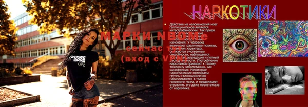 Альфа ПВП Новокубанск