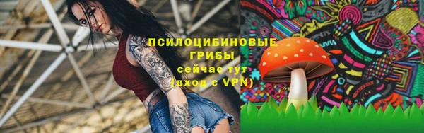 Альфа ПВП Новокубанск