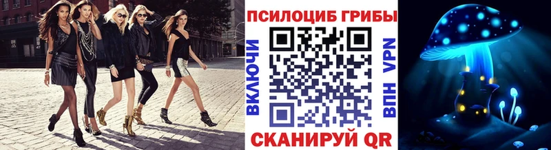 Псилоцибиновые грибы Psilocybe  как найти закладки  Грайворон 